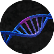 Image of DNA in blue on a black background with a mutation shown in a purple, different from the rest of the DNA. Our technology can mimic the DNA of specific rare diseases.